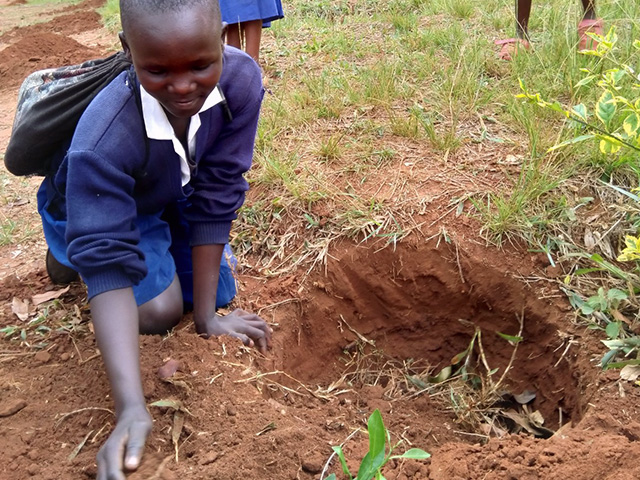 Girl learning to plant