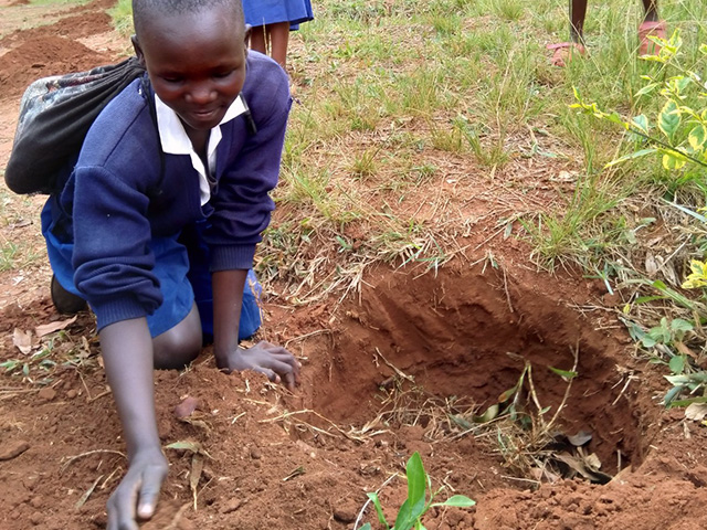 Girl learning to plant